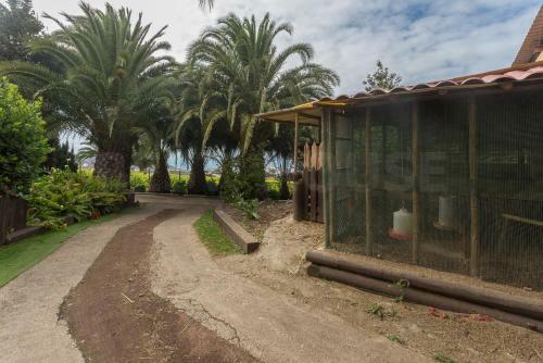 Agroturismo Canarian Farm With Pool Los Paredones