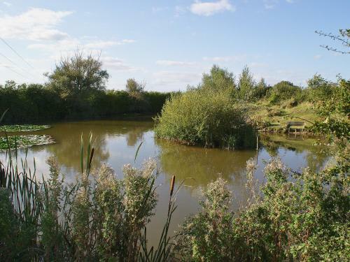 The Byre