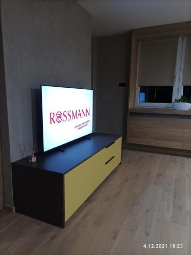 Apartament Nad Wis??