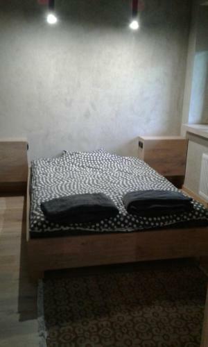 Apartament Nad Wis??