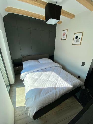 Apartament Lux Ustro?