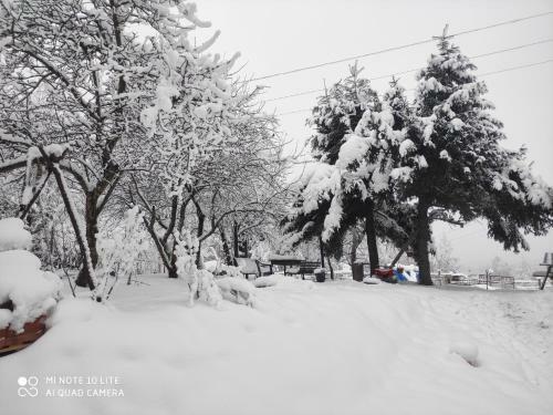 Gromadzyni�wka-pod Czarnym Kogutem