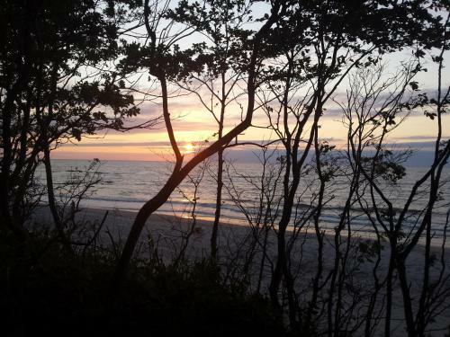 Apartament 27 Dwie Sosny