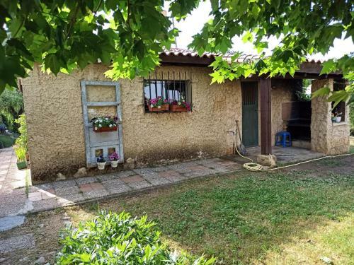 Finca De Lolas