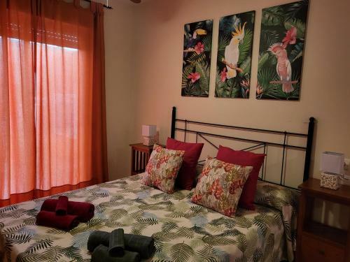 Apartamento Ex�tico En Primera L�nea de Vera-playa!