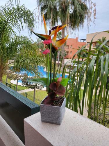 Apartamento Ex�tico En Primera L�nea de Vera-playa!