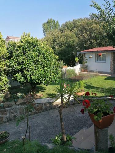 Apartamento Campo Santa Baia