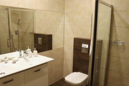 Apartament Przy Parku Wise?ka