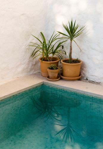 Hostal Casa De Los Cuadros