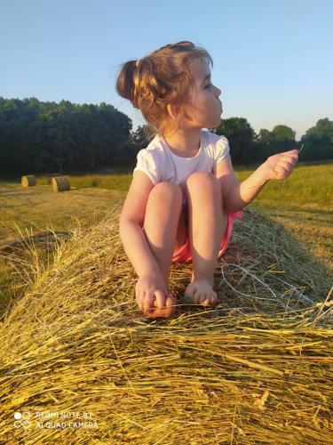 Agroturystyka U Ani