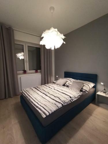 Apartament Wrze?nia II