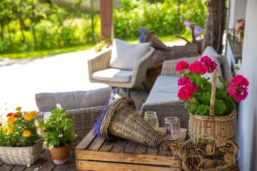 Bed & Breakfast Hillton Jawornik