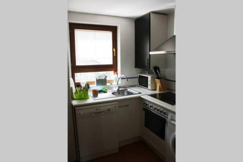 Apartamento D�plex Con Jard�n En Pirineos, Totalmente Equipado