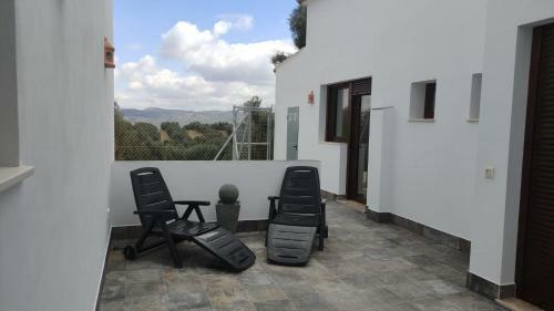 La Perdiz De Molinca