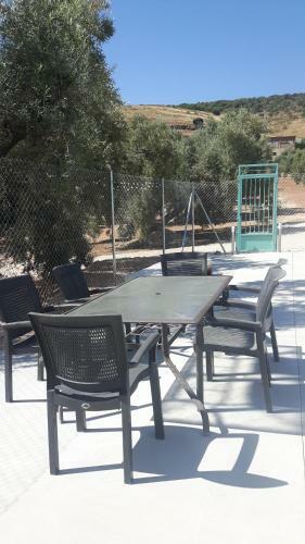 La Perdiz De Molinca