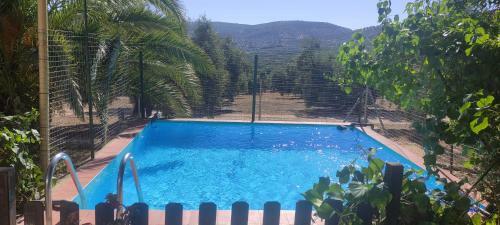 La Perdiz De Molinca