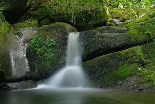 Agroturismo El Rinc�n Del Besaya