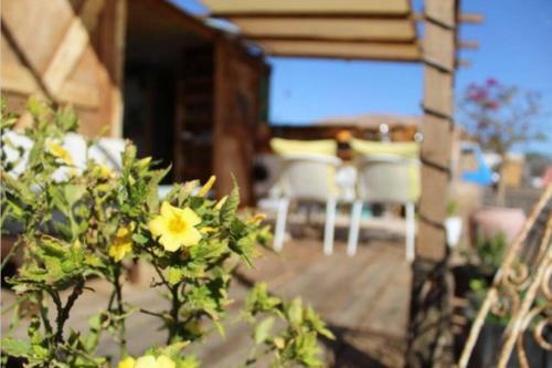 Apartamento Back To Nature Original Tiny House Self Sufficient Build