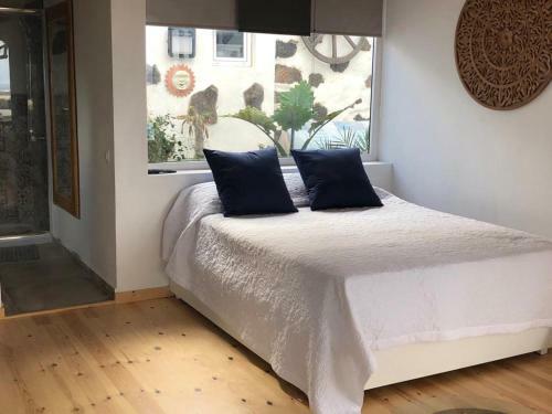 Apartamento Loft Armony