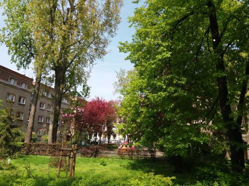 Apartamento Muran�w Studio