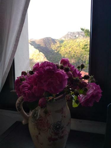 Bed & Breakfast Vis 101