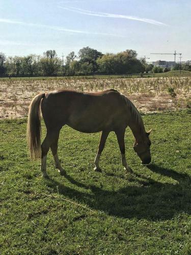 Apartament Vincent Warsaw