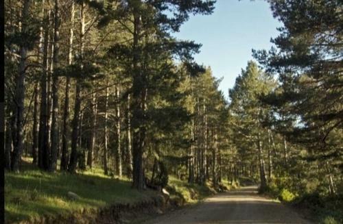 La Casita De Vistabella