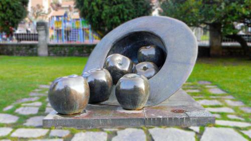 Apartamento Manuel Cortina 11