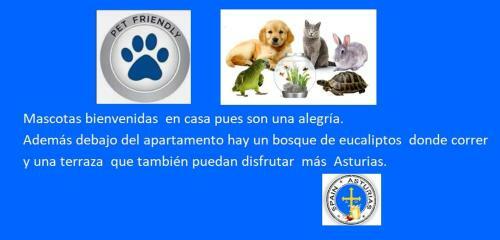 Apartamento Villaviciosa Playa El Puntal