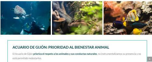 Apartamento Villaviciosa Playa El Puntal