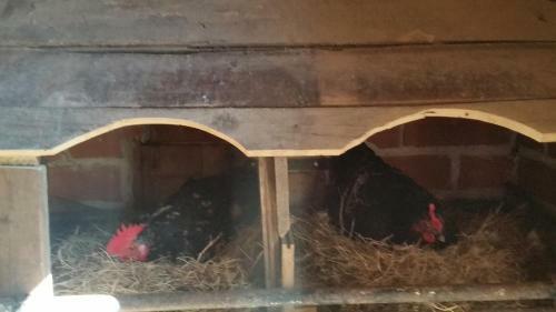 Agroturismo Turismo Rural El Piensu