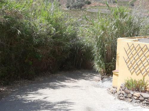 Adobe Getaway With 'private Plunge Pool'