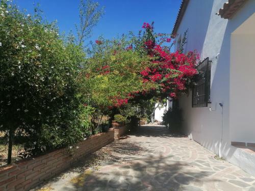 Casa Luis