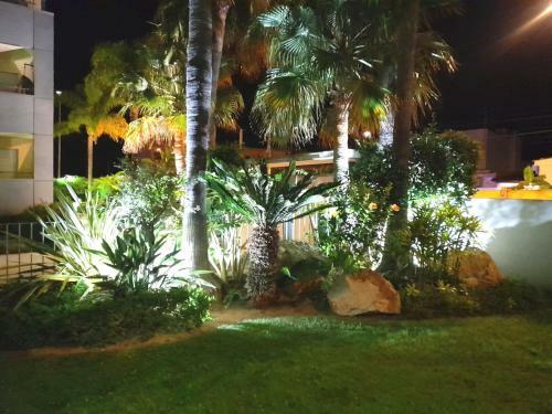 Apartamento Cobysol