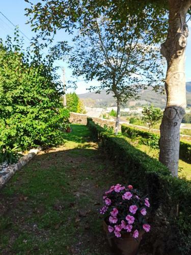 Apartamentos Minas De Silvarosa