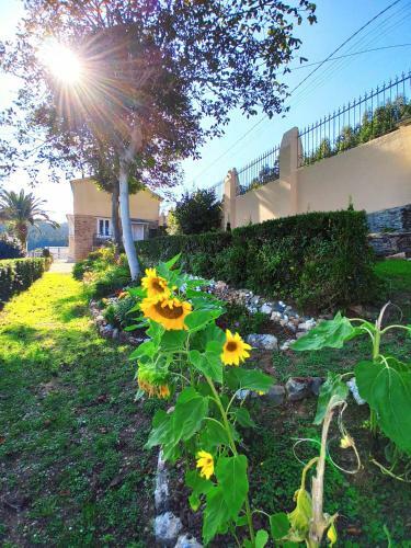 Apartamentos Minas De Silvarosa