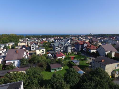 Orle Gniazdo