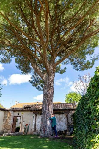 Casa Rural Puerto Sanz