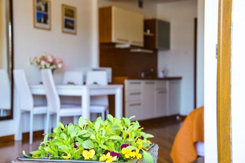 Apartamento Przysta? Przy Pla?y