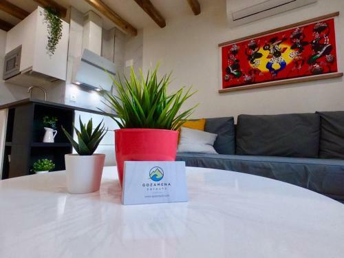 Apartamento Gozamena Zarautz (Surf/mendi)