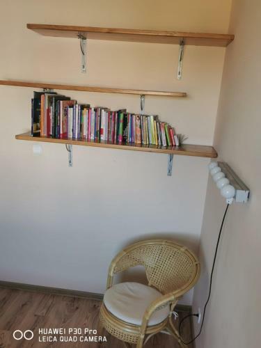 Apartament Ster