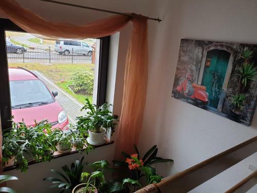 Hostal Renesans