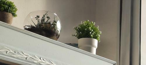 Apartamento Airunnes Atico Duplex Zahara Primera Linea