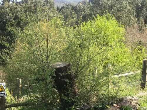 Apartamento Bakio, Caserio Goikoetxe
