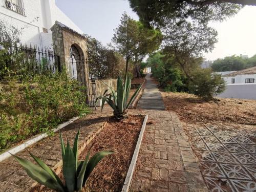 Apartamento Entre Pinos Y Playa