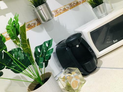 Apartamento Good Vibes