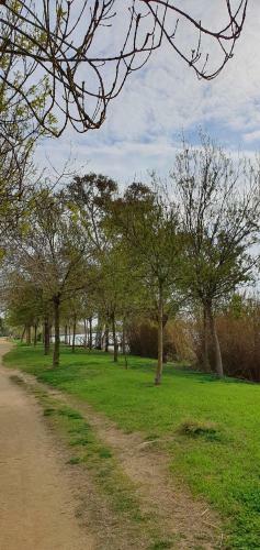 Apartament Mia
