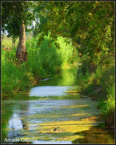 Agroturismo Casilla Del Mas D'avall