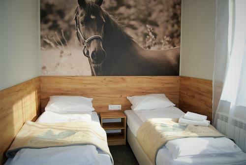 Bed & Breakfast Villa Natura Zator Przecisz�w