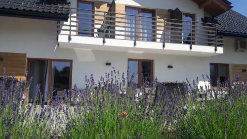 Bed & Breakfast Villa Natura Zator Przecisz�w